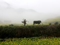 -仙霞关景区
