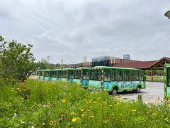 -黄海国家森林公园