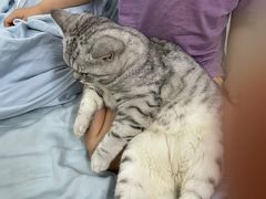 -宠颐生宠物医院外科·内科·皮肤科·影像科(石龙店)