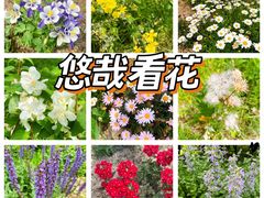 -望湖公园