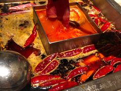 牛油红锅-锦城印象火锅(天府三街店)