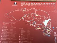 景点-成都大熊猫繁育研究基地