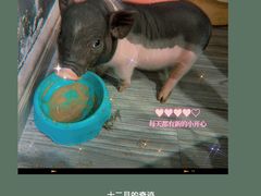-拾光陶吧