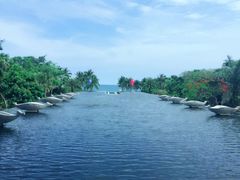 -亚龙湾喜来登·美景台大堂吧