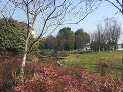 -梁鸿湿地丽笙度假酒店大堂吧