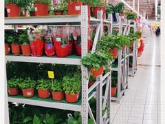 -大润发(勤业店)