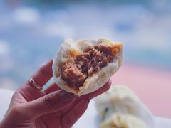 猪肉大葱-老陶包子铺(南大西南村店)