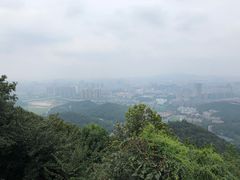 -茶颜悦色(岳麓山顶店)