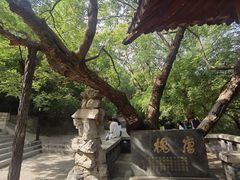 -千佛山风景名胜区