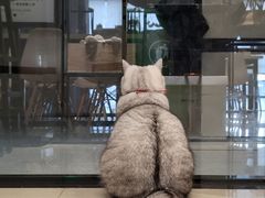 -Oasis绿洲银饰珍珠手作diy(壹方城店)