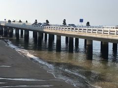 -演武大桥观景平台