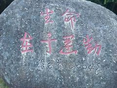 -火炉山森林公园