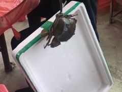 -蚝乡农庄(铁涌赤岸店)