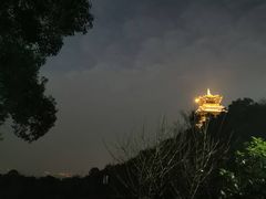 -杭州半山国家森林公园