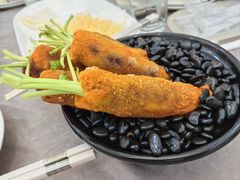 -丁老爷子苏香圆