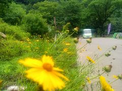 -大连天门山国家森林公园