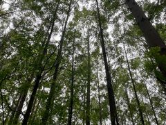 -河南省黄河迎宾馆