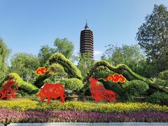 -西海子公园