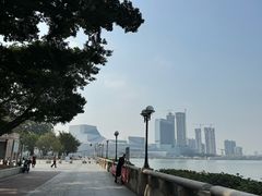 -洲头咀公园