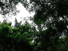 -五缘湾湿地公园