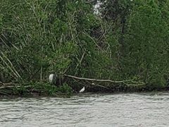 -东寨港红树林旅游区