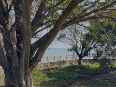 -南沙十九涌渔人码头-南门