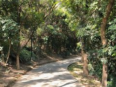 -燕晗山郊野公园