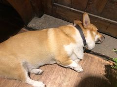 -阿木舂记·特色小吃(平江路店)