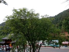 -楠柏弯休闲山庄(梨花溪店)