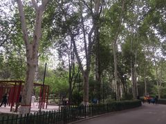 -西安市长乐公园