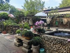 -园林美食城·本土农家菜(杨和镇店)