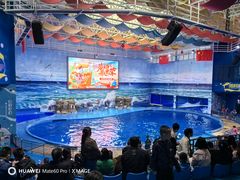 -多彩贵州城极地海洋世界