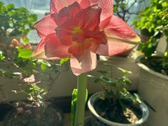 -沈阳海洋探索中心