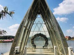 -大塘金香草谷