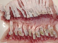 -正能量脆肉鲩火锅