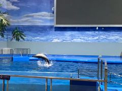 -福州罗源湾海洋世界旅游区