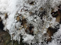 -南京奥林匹克体育中心-体育馆