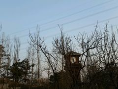 -永定河休闲森林公园