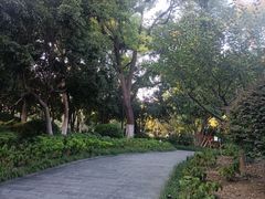 -常州古运河南大街文化旅游区-人民公园