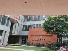 -香港大学
