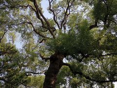 -鼓楼(西湖风景名胜区)
