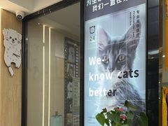 -半岛宠物医院24小时(西派城店)