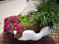 -老虎石海上公园