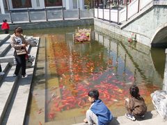 -济南方特东方神画