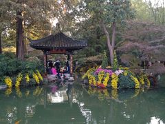 -杭州植物园