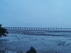 -宝安西湾红树林湿地公园