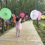 和松鼠🐿咔咔一起玩耍吧！