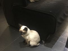 -吱咖啡西式简餐