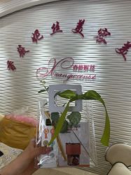 -香薇妮丝女子减肥院