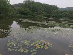 -白马涧龙池景区